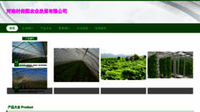 What Hnlaotu.com website looks like in 2024 