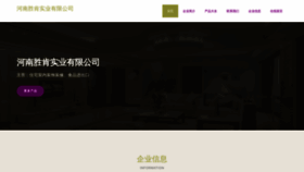 What Hnshengken.com website looks like in 2024 
