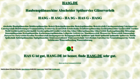 What Hasg.de website looks like in 2024 