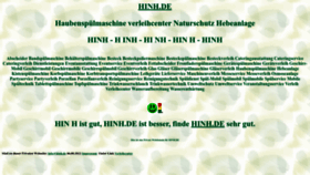 What Hinh.de website looked like in 2024 (2 years ago)