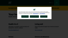 What Hse.ie website looks like in 2024 