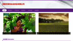What Hdzyzy.cn website looks like in 2024 
