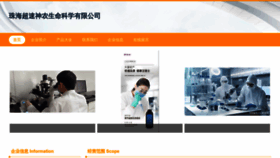 What Hkconsult.cn website looks like in 2024 
