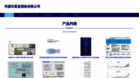 What Hydsxh.cn website looks like in 2024 