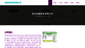 What Hzbingyou.cn website looks like in 2024 