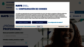 What Hays.es website looks like in 2024 