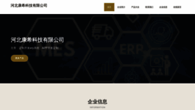 What Hbkangxi.com website looks like in 2024 
