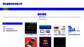 What Hbanglei.com website looks like in 2024 