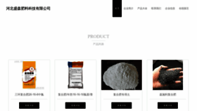 What Hbshengsen.cn website looks like in 2024 
