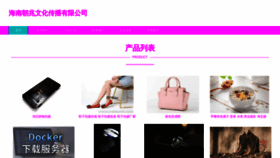 What Hnchaozhao.com website looks like in 2024 