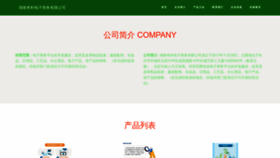 What Hnqipu.com website looks like in 2024 