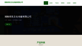 What Hndeliang.com website looks like in 2024 