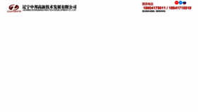 What H0onk.cn website looks like in 2024 