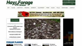 What Hayandforage.com website looked like in 2024 (1 year ago)