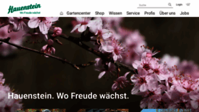 What Hauenstein-rafz.ch website looks like in 2024 
