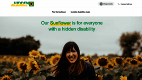 What Hiddendisabilitiesstore.com website looks like in 2024 