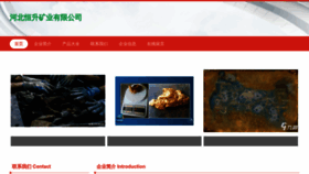 What Hengsheng001.com website looks like in 2024 