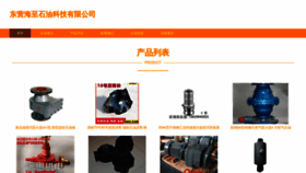 What Haizhioiltools.com website looks like in 2024 