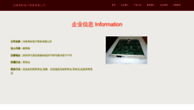 What Hnkaopu.com website looks like in 2024 