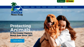 What Halifaxhumanesociety.org website looks like in 2024 