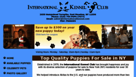 What Internationalkennel.com website looked like in 2012 (11 years ago)