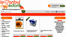 What Istanbultedarik.com website looked like in 2013 (11 years ago)