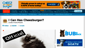 What Icanhascheeseburger.com website looked like in 2013 (10 years ago)