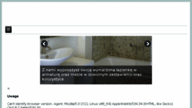 What Instalator-bis.pl website looked like in 2014 (9 years ago)