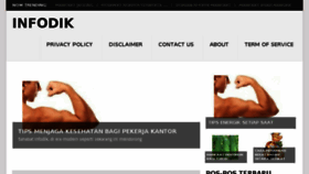 What Infodik.net website looked like in 2015 (9 years ago)