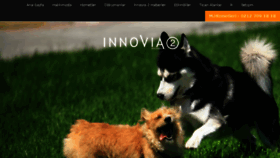 What Innovia2.com website looked like in 2015 (8 years ago)
