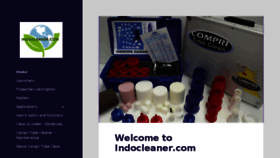 What Indocleaner.com website looked like in 2016 (8 years ago)
