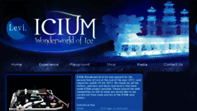 What Icium.fi website looked like in 2016 (8 years ago)