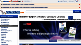 What Inhibitor2.com website looked like in 2016 (8 years ago)