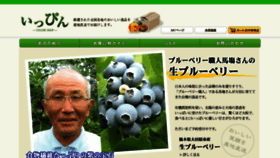 What I-ppin.jp website looked like in 2016 (8 years ago)