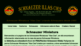 What Illascies.com website looked like in 2016 (7 years ago)