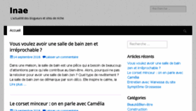 What Inae.fr website looked like in 2016 (9 years ago)