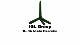 What Iglgroup.org website looked like in 2016 (7 years ago)