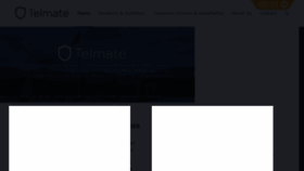 What Intelmate.com website looked like in 2016 (7 years ago)
