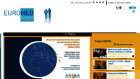 What Invest-in-med.eu website looked like in 2016 (7 years ago)