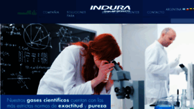 What Indura.com.ar website looked like in 2017 (7 years ago)