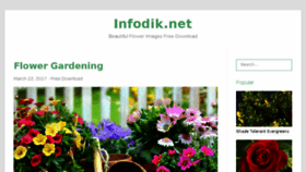 What Infodik.net website looked like in 2017 (7 years ago)