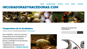 What Incubadorasynacedoras.com website looked like in 2017 (7 years ago)