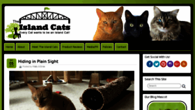 What Island-cats.com website looked like in 2017 (6 years ago)