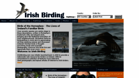 What Irishbirding.com website looked like in 2017 (6 years ago)