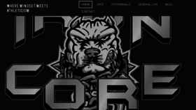 What Ironcoreathlete.com website looked like in 2017 (6 years ago)