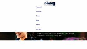 What Iganpartners.com website looked like in 2017 (6 years ago)