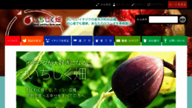 What Ichijiku-farm.com website looked like in 2017 (6 years ago)