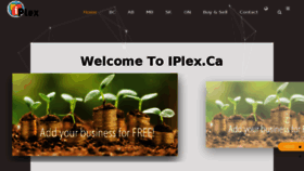 What Iplex.ca website looked like in 2017 (6 years ago)