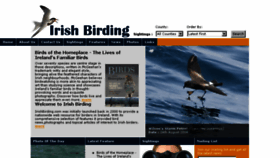 What Irishbirding.com website looked like in 2018 (5 years ago)