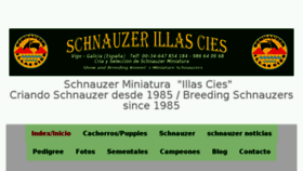 What Illascies.com website looked like in 2018 (5 years ago)